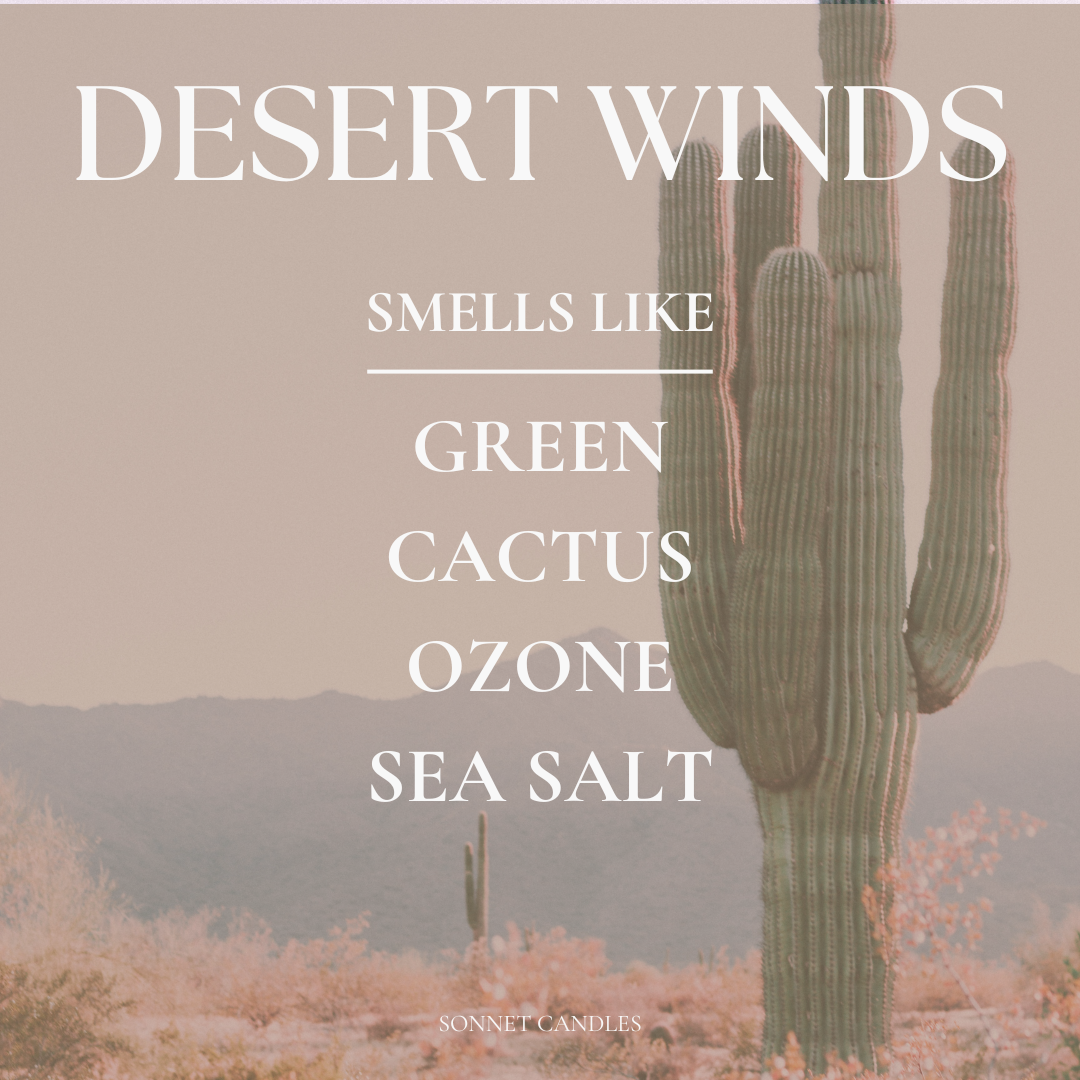 Desert Winds 7 oz Candle - Studio Collection