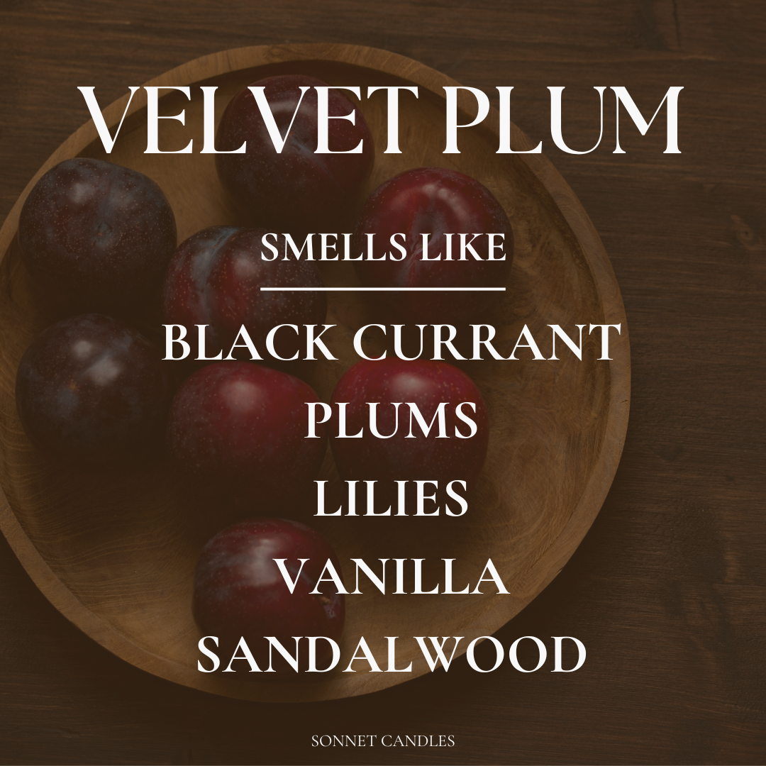 Velvet Plum 7 oz Candle - Studio Collection