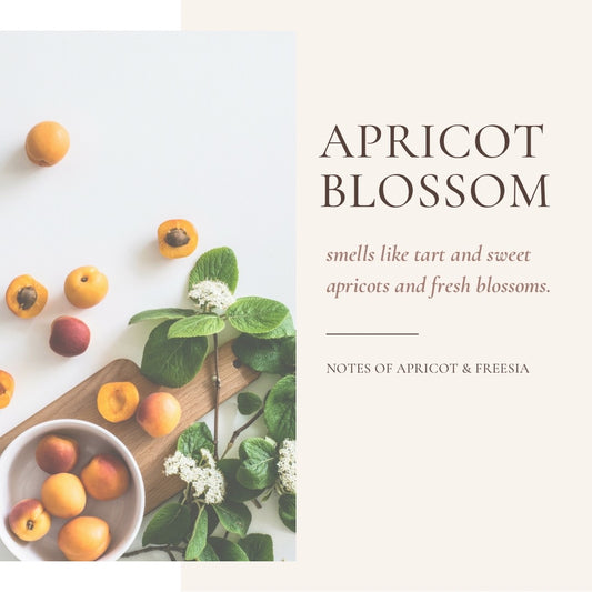 Apricot Blossom 4 oz candle